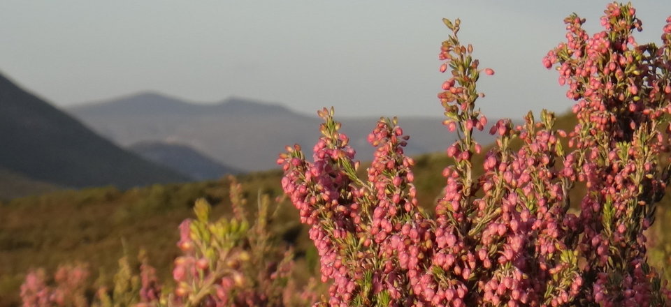 The Floral Gateway and starting point to the Garden Route